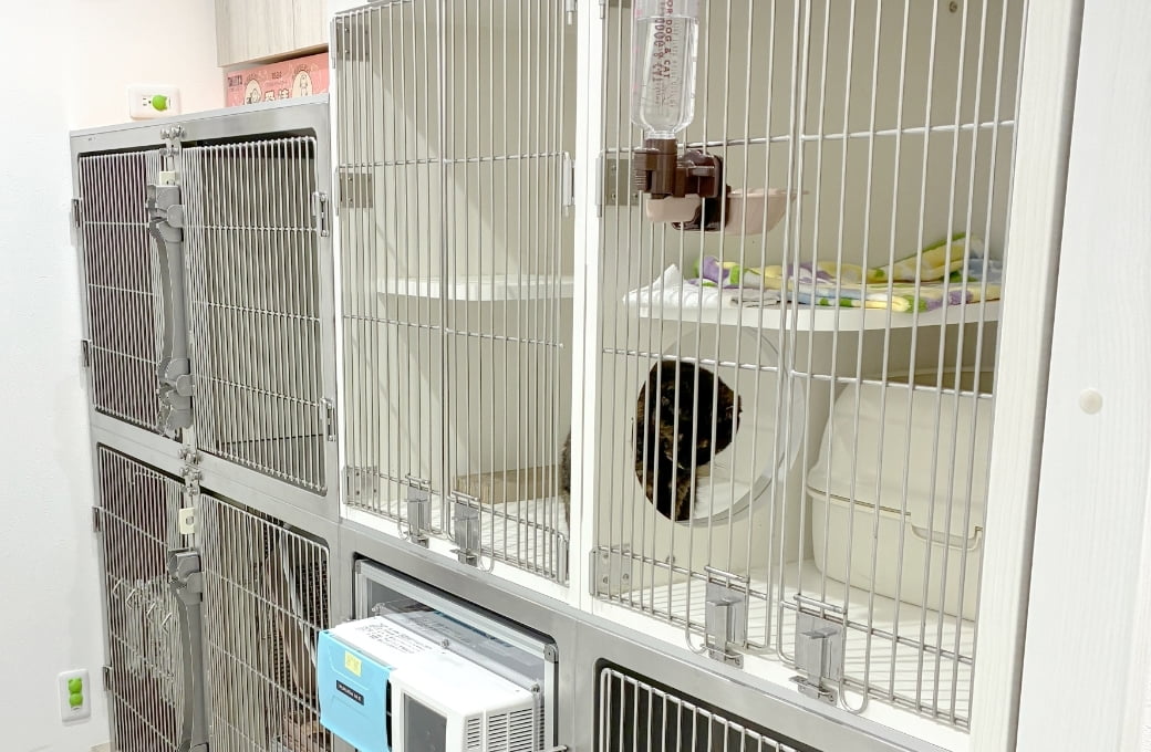 シーナどうぶつ病院の入院室写真