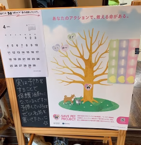 4月27日