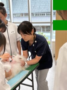 専門学校で講師をしてきました
